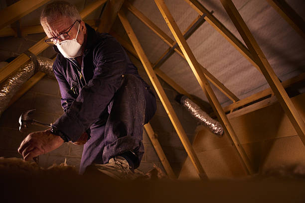 Best Insulation Maintenance and Repair in Rupert, ID